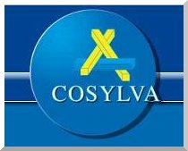 Cosylva