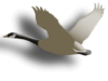 Captcha image 6179