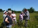 Herbes sauvages / Herbes de vie à Mercin