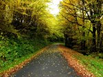 Couleurs d'automne (le pont de l'Enfer en novembre 2011)