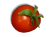 Captcha image 3884