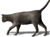 Captcha image 6102